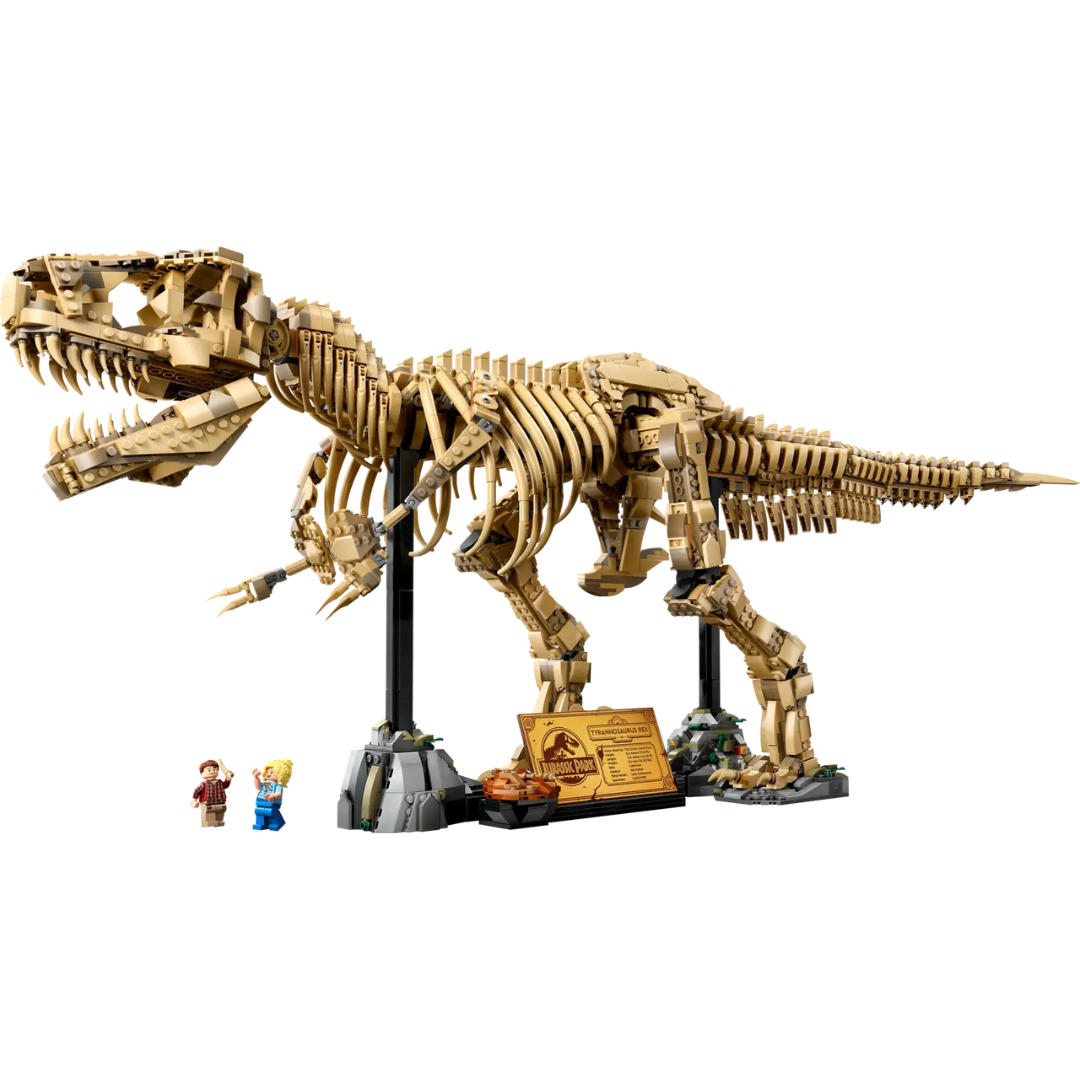 Dinosaurier-Fossilien: Tyrannosaurus rex