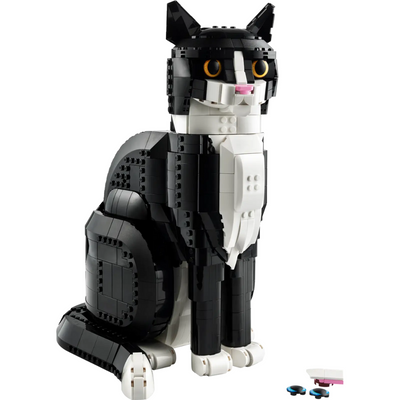 Schwarz-weiße Katze