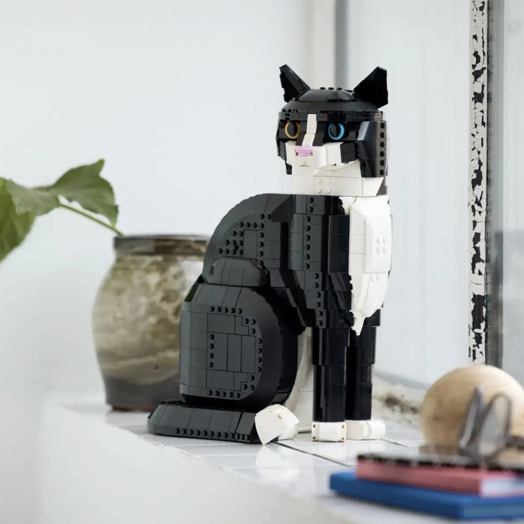 Schwarz-weiße Katze