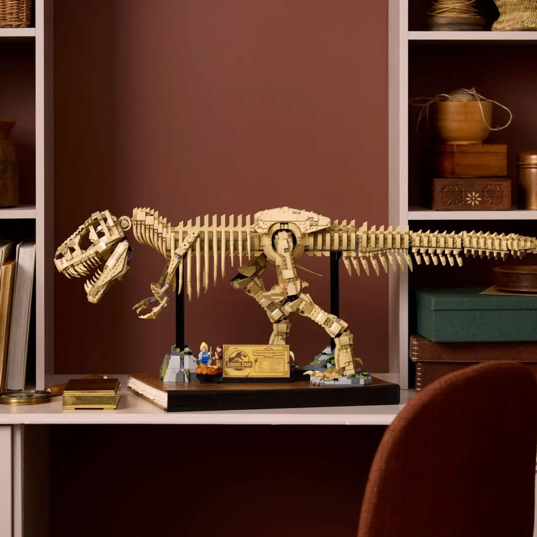 Dinosaurier-Fossilien: Tyrannosaurus rex