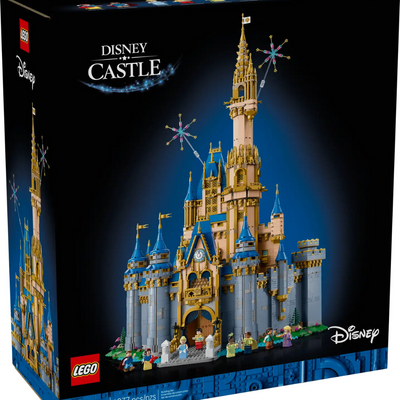 Disney Schloss
