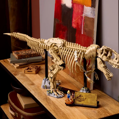 Dinosaurier-Fossilien: Tyrannosaurus rex